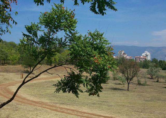 gazi-baba.jpg