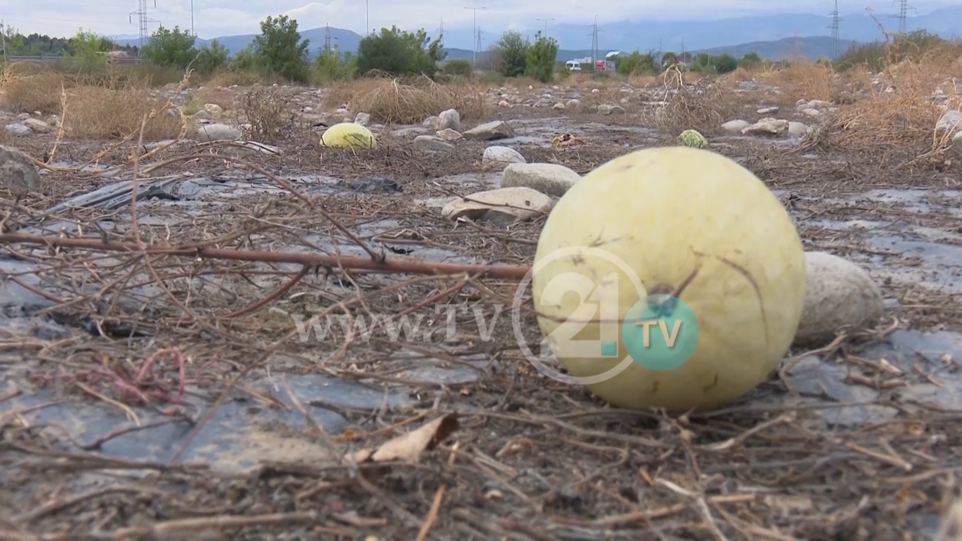 bujqesi_vtr_arbana_mkd.mp4.00_00_03_16.still001.jpg