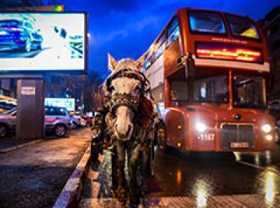 Како изгледаат улиците