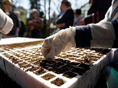 Обука за садење градини