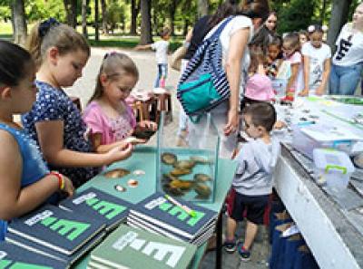 Урбан биодиверзитет