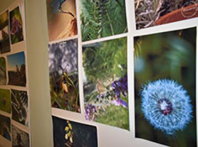 Урбани безрбетници