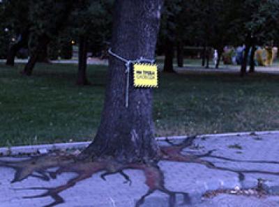 Скопските дрвја во синџири