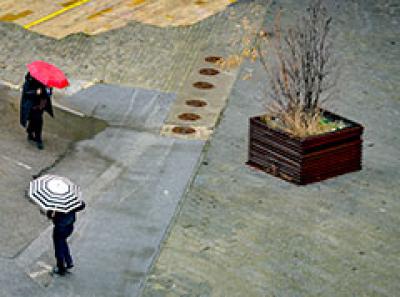 Има ли зеленило за сите