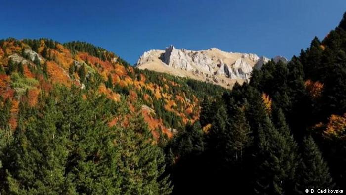 Videostill - Shar Planina (D. Cadikovska)