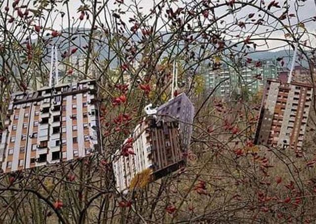 Во Расадник наместо да се сади, ќе се гради